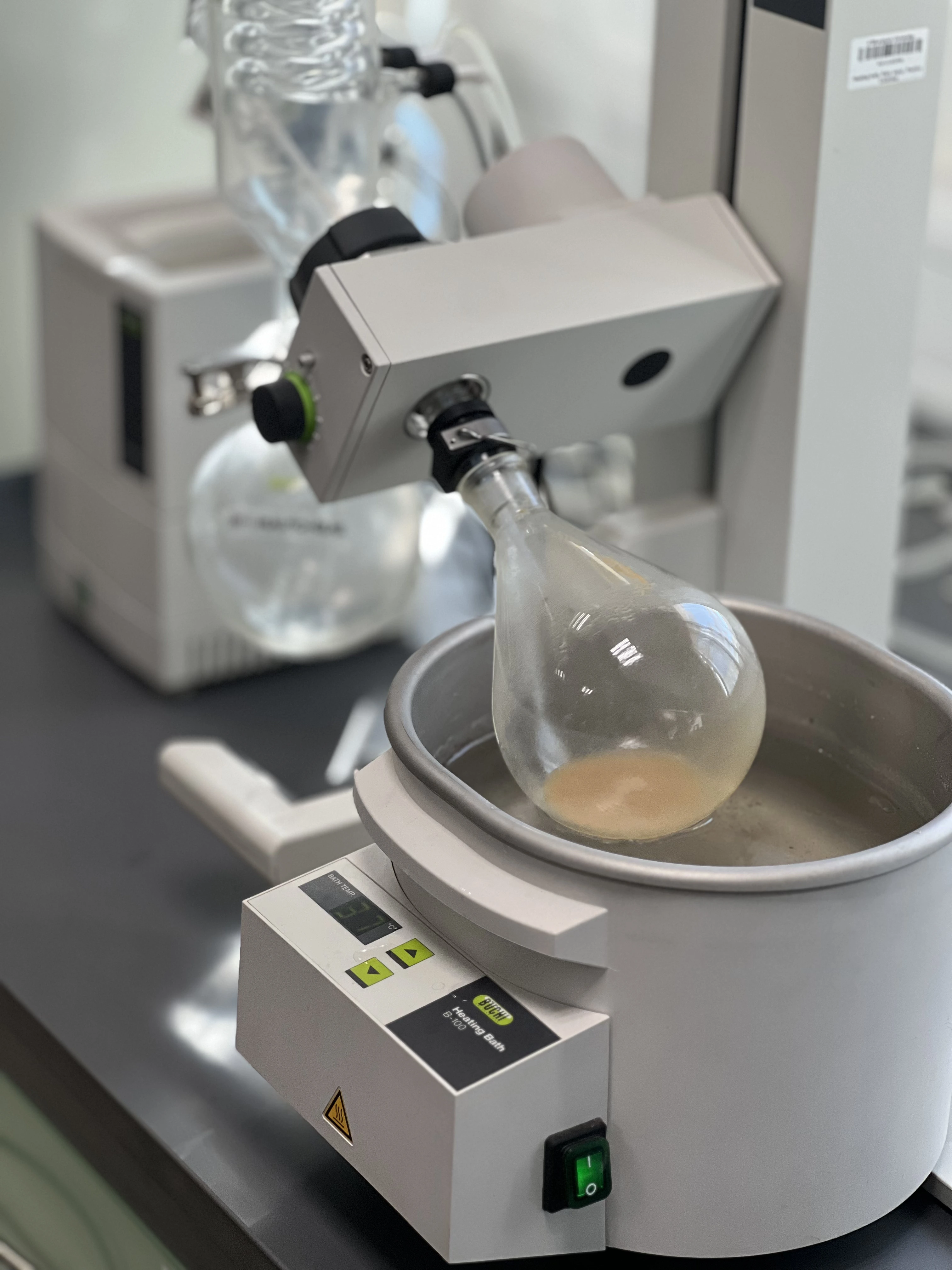 مستخلص عرق السوس