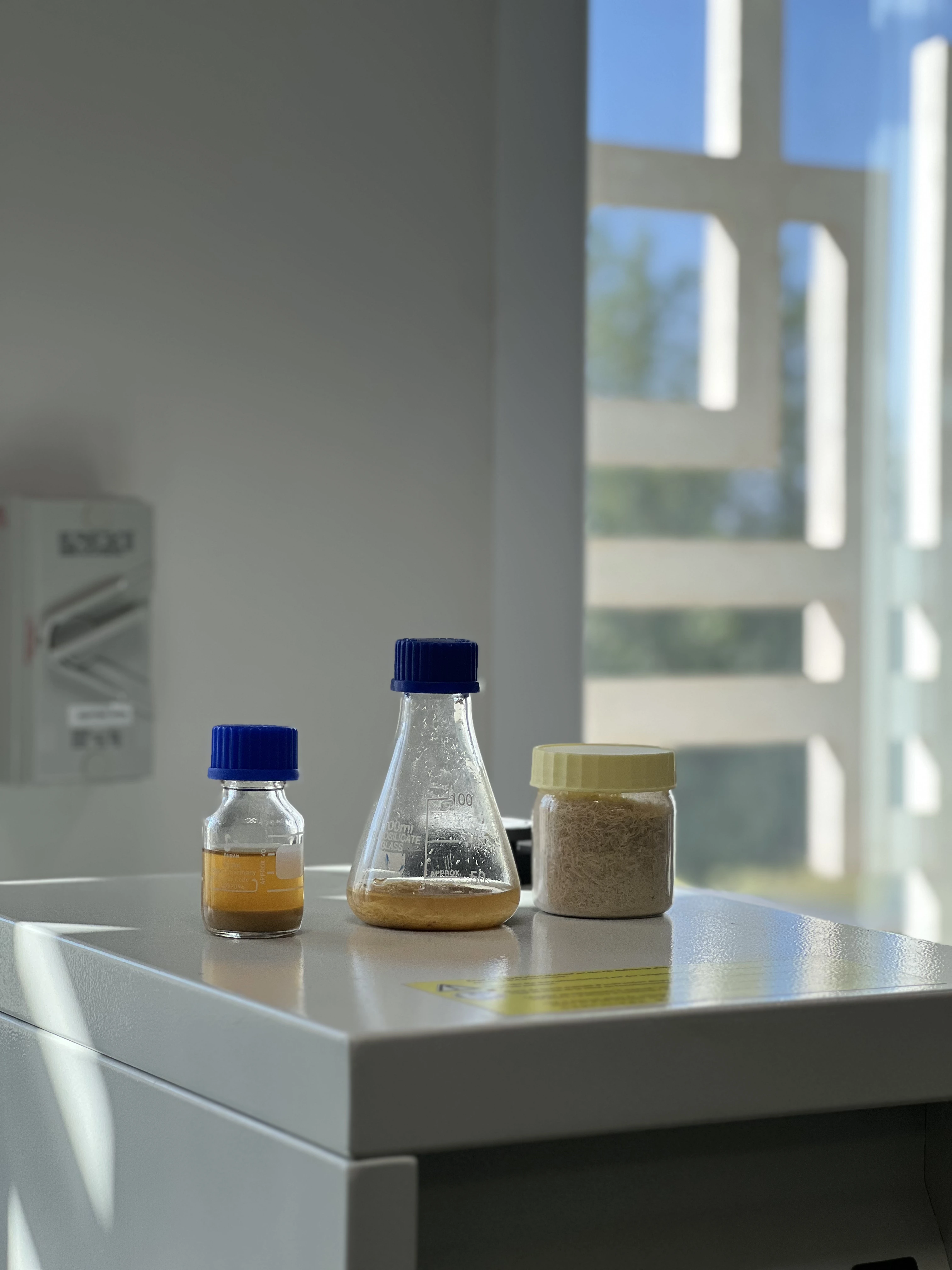 عينات المستخلص